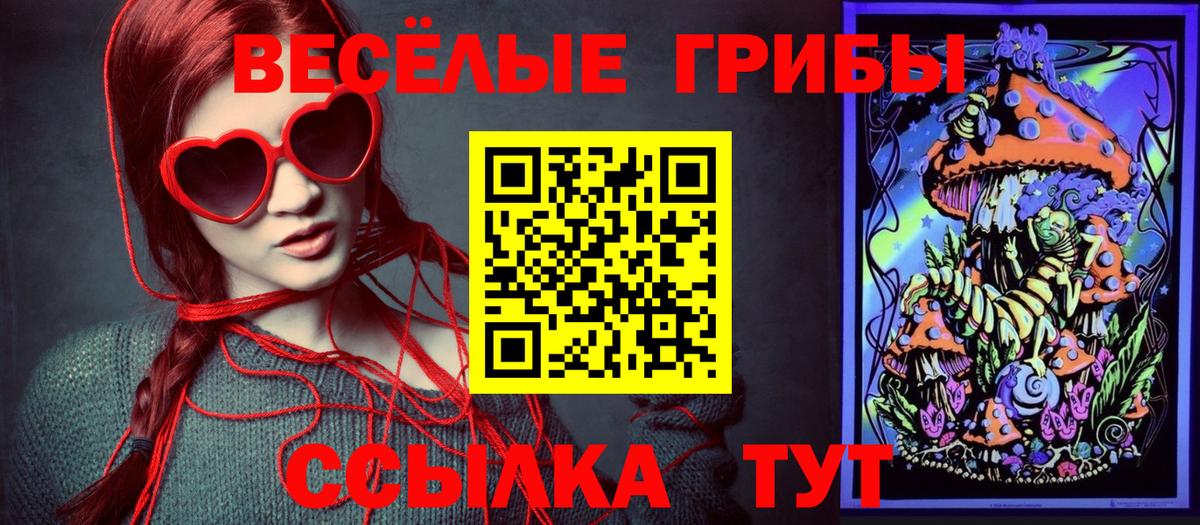 Кемерово  Псилоцибиновые грибы мицелий  Вход с VPN 